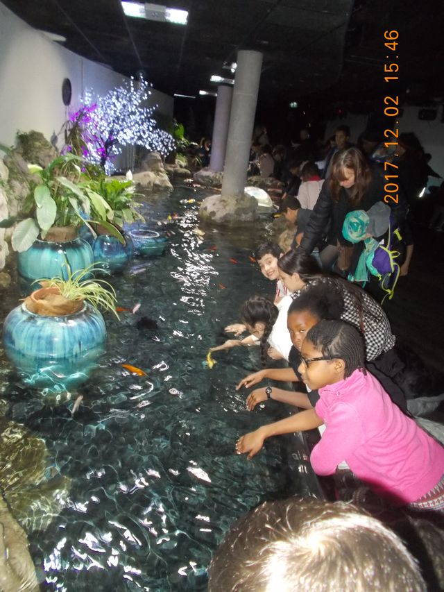 2017_aquarium_021212_1