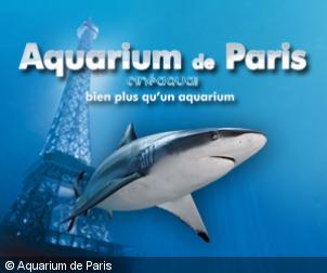 2017_aquarium_250217_1