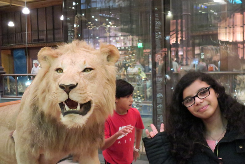 2017_museum_241017_2